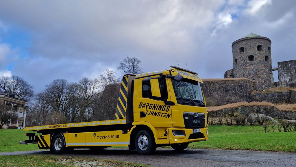 Flagbärgare på bilden